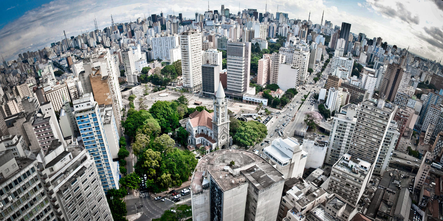 1a. Colocada Concurso Árvores da Cidade de São Paulo